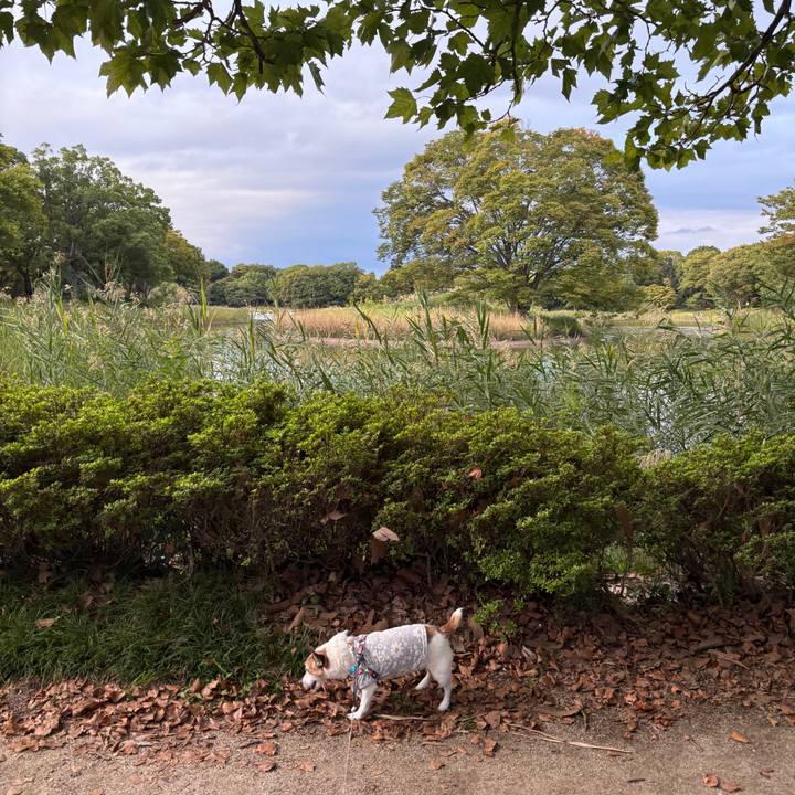 D83656f7 70fe 414b 8554 6e1ec7597d30 1759793187356