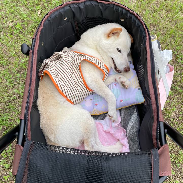 D836a6c4 2e2d 48a2 8acd c579c53b32fb 1655466457007