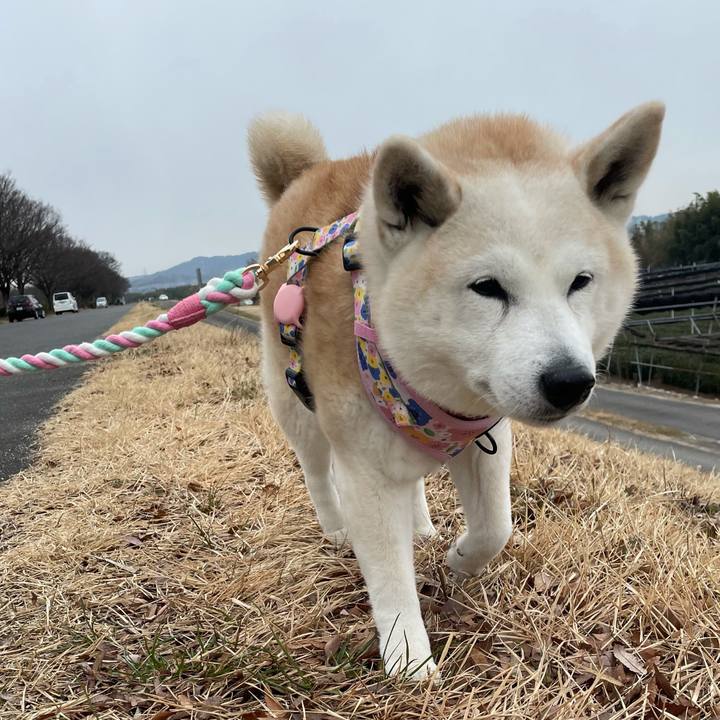 D836bd0a 8d88 471c 9b17 09a30c1f9f3a 1644813100376