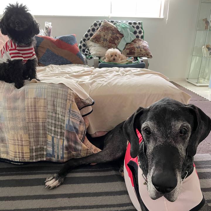 D836c092 cd06 4ae0 9aaf c4b013a1c016 1651790251230