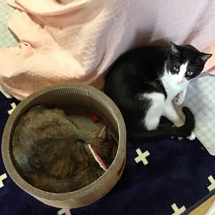 D836c58f b91f 40bb 8ef0 ce4f9461b6e6 1710406567574