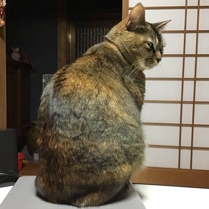 D836efa9 beb2 4bd6 842d a836f01eccba 1703327810314