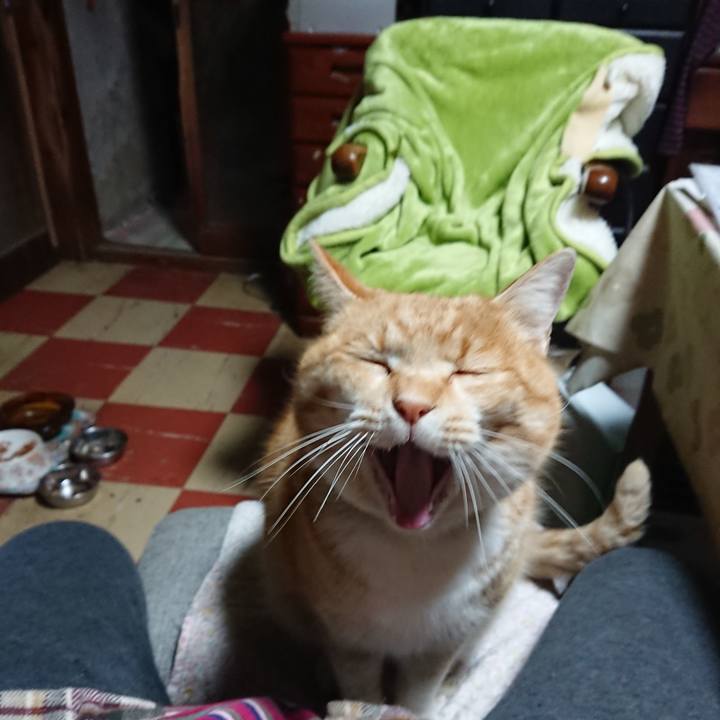 D837088b 869b 4774 b159 9e6e7afbfabd 1582404306030