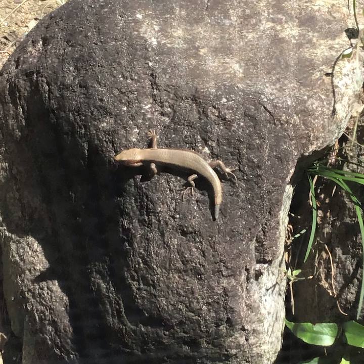 D837253e 81ed 40fa bfa2 a04c0856fcf2 1649390605356