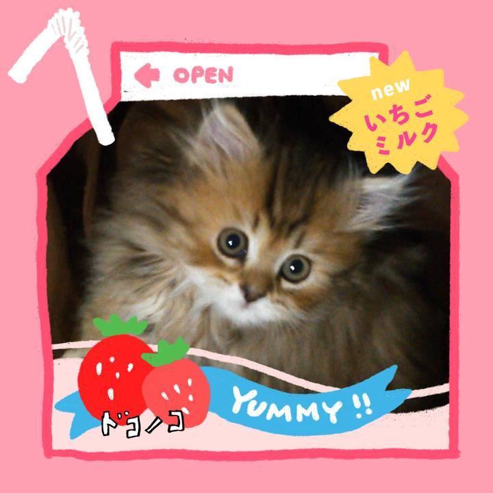 D83746e7 699d 4c9d 8082 19a03fded17f 1711407136411