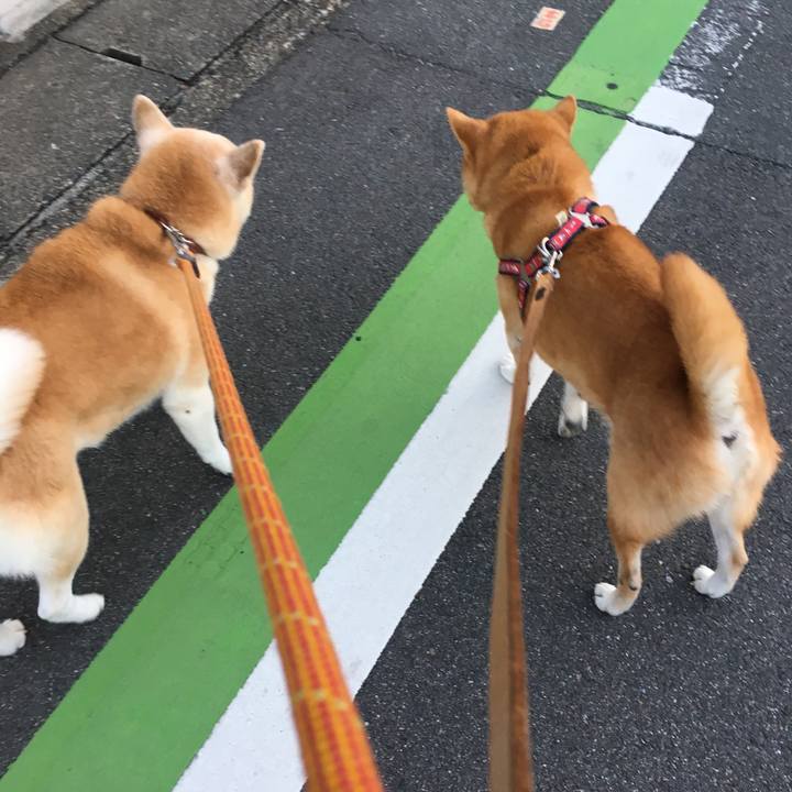 D8374d95 182e 4f20 97d9 83903e07a876 1511515363959