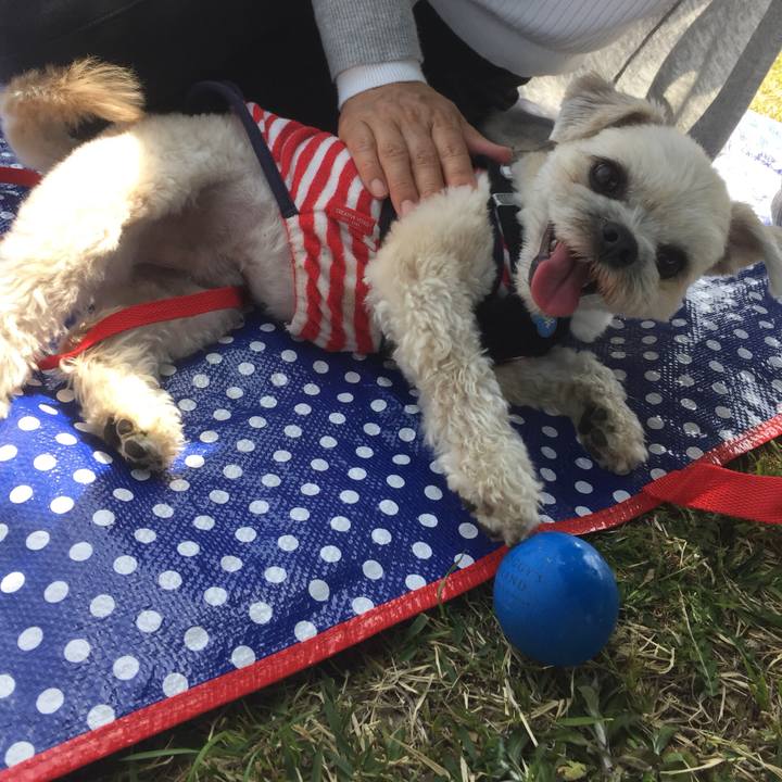 D8378e9a d7c7 464d a6c8 e2f501d93b30 1522570335588