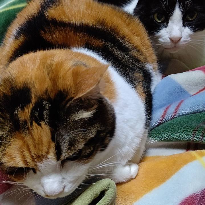 D837d037 5d2e 44aa a394 55f0a3afe61c 1638395370170