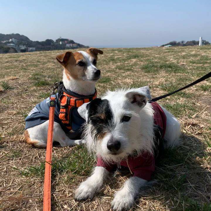 D837fccd 4734 431d 9ae2 5e786c95cb8f 1646961148221