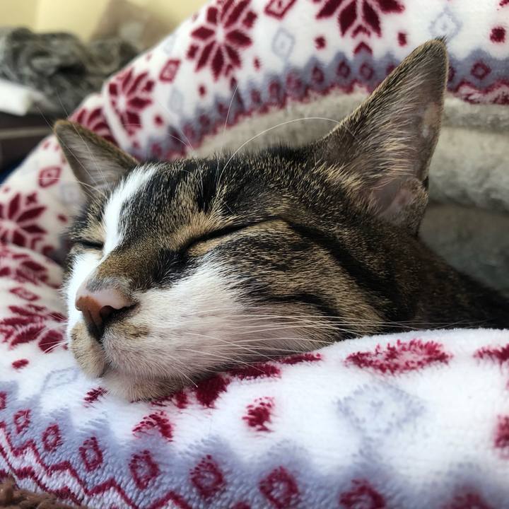 D8389596 9908 412d aa41 708a68b97df2 1647031859004