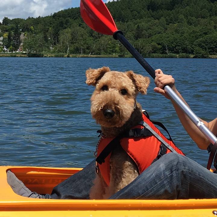 D838a7f0 c7a7 4251 8cd1 0b321f3cfa7c 1533476928173