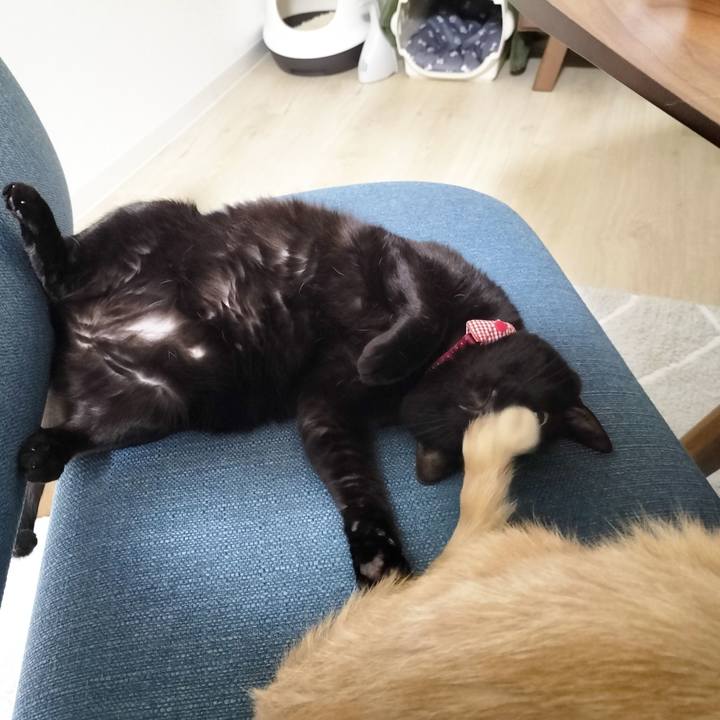 D838bf16 ad0c 4fe7 afcd 17f89492fd49 1714563576480