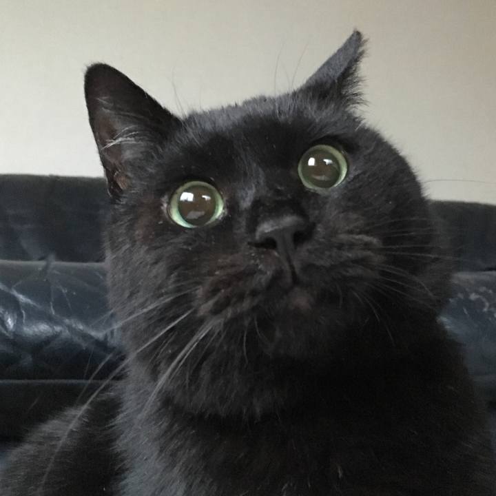 D838d880 b454 49c5 9dd8 ba31e0ee8758 1532242340426