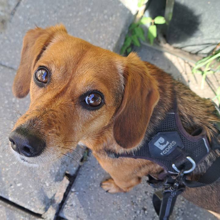 D838f23c e003 4dcf 9a84 4a107bdca23f 1759498070763