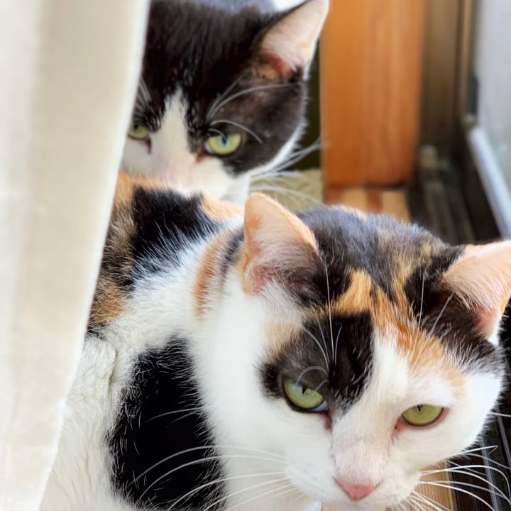 D839107d 5947 4391 a7be 4d289a2ed550 1552788824344