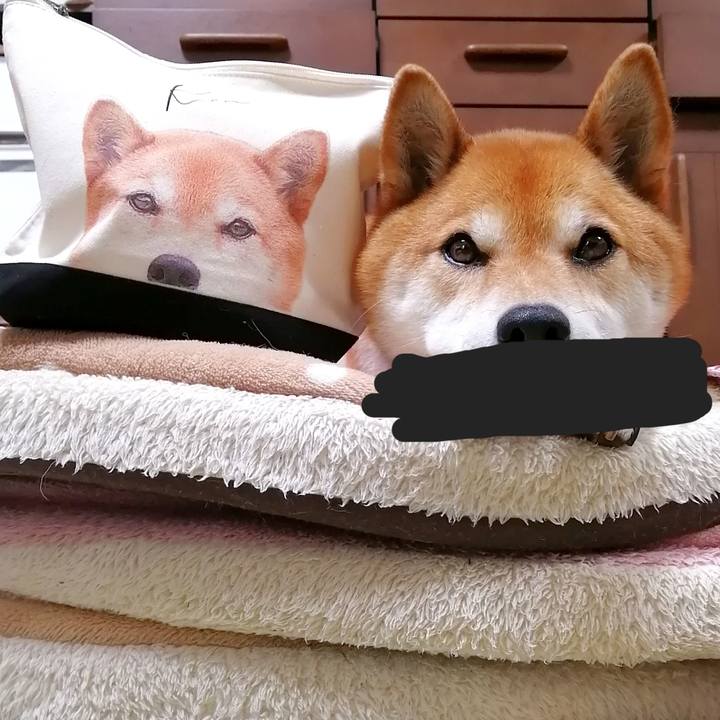 D8397121 5135 429a 95be 03f4364ef336 1654925216528