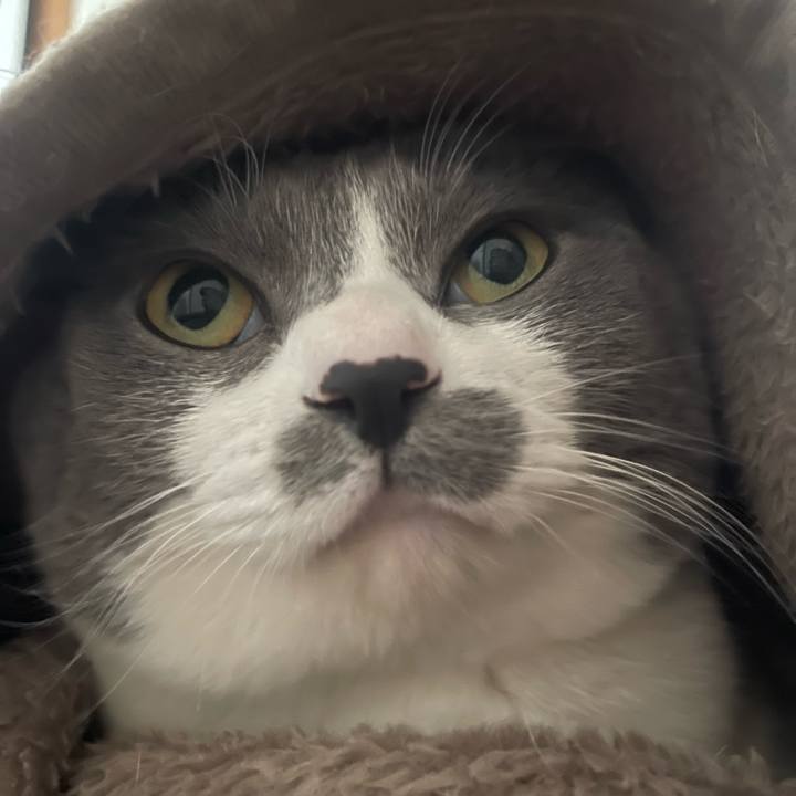 D8399c2c e9d2 478d a20e 1411269d39e5 1738299602427