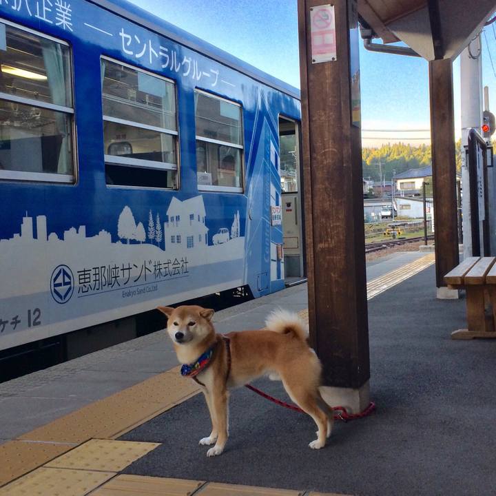 D839aa54 c882 419c b966 434f44042015 1509698460134