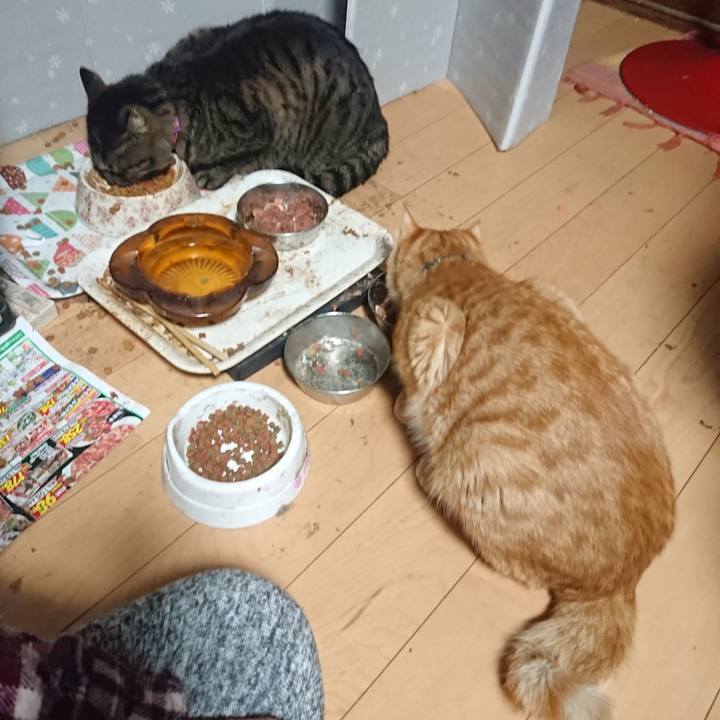 D839b9ab cb37 492e bc34 3bc0c48dc0a1 1649021456071