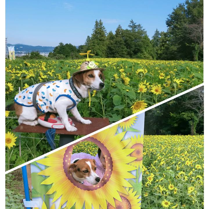 D839c07b 43fc 466c a159 ca8215b925aa 1761812851773