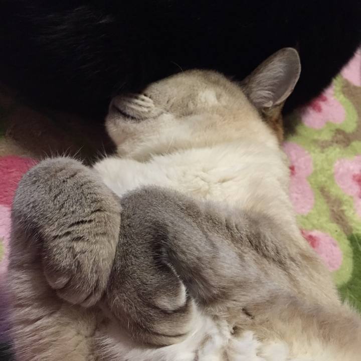 D839c5c4 31ac 4fc2 99d8 5c63860681a9 1519423016273