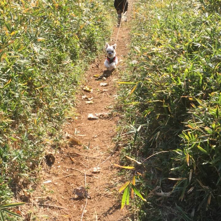 D839d9d5 8bf2 49c1 9e45 701ebfb81b9d 1512286086219