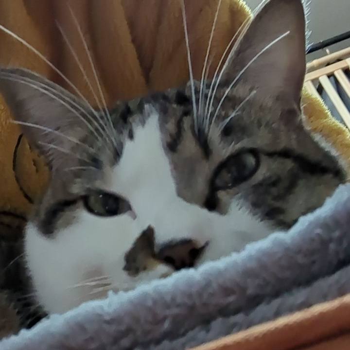 D83a143d e951 495e ac50 6d78fab4fd8b 1666689536681