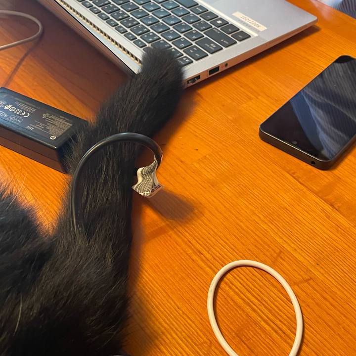 D83a363f f82f 4fc1 b2b7 49afcc925de7 1755825917759