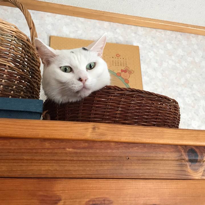 D83a3823 6301 479d 8936 ae32b41b2324 1596945123620