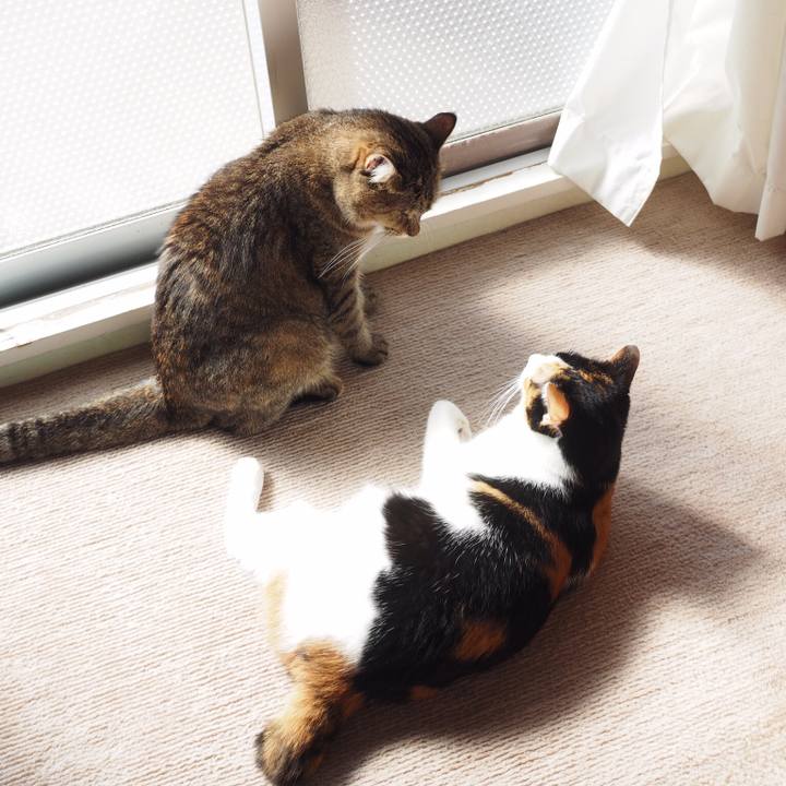 D83a58de 5bb0 4c28 a0f5 ea0038816237 1541458204039