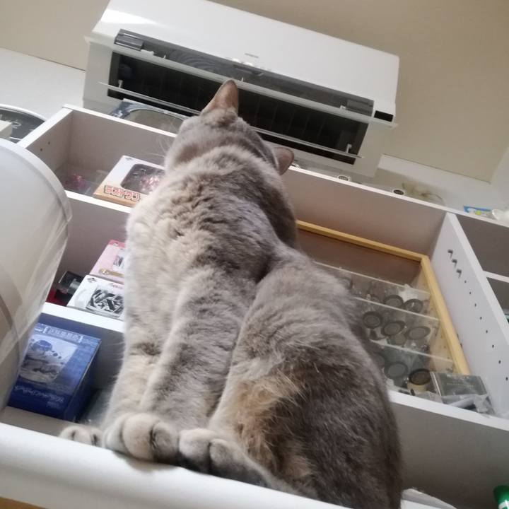 D83a598b 856c 42cf a091 74f16541fad6 1512472283743