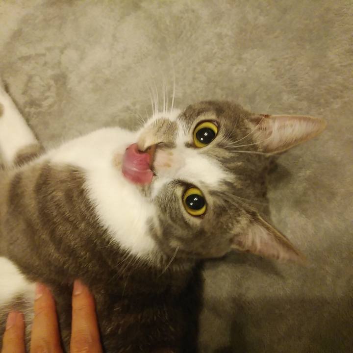 D83a913d 7120 4007 a8fa 300373987a1d 1589115096685