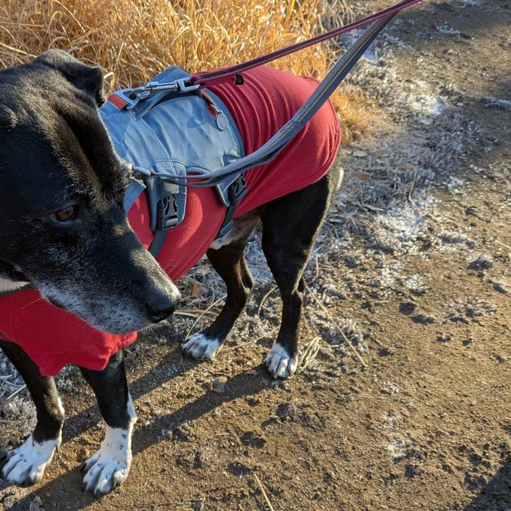 D83aa1aa 622a 4577 94b6 ffa65735e7ae 1736381409544