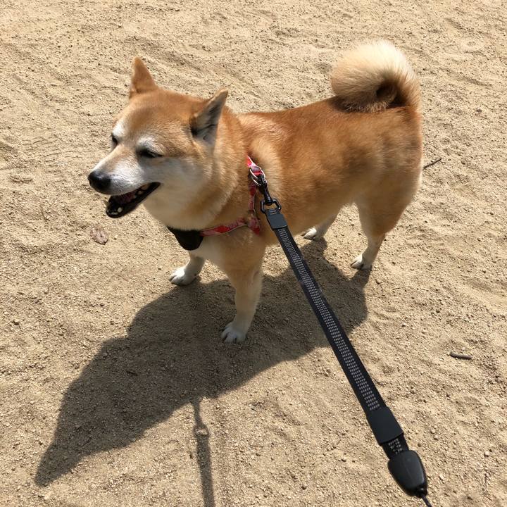 D83aaccf dc69 40a0 863a aa6cdfed64f1 1558045611863