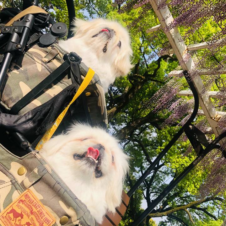 D83acea2 3103 496b ba16 cb01b370528a 1619317306254