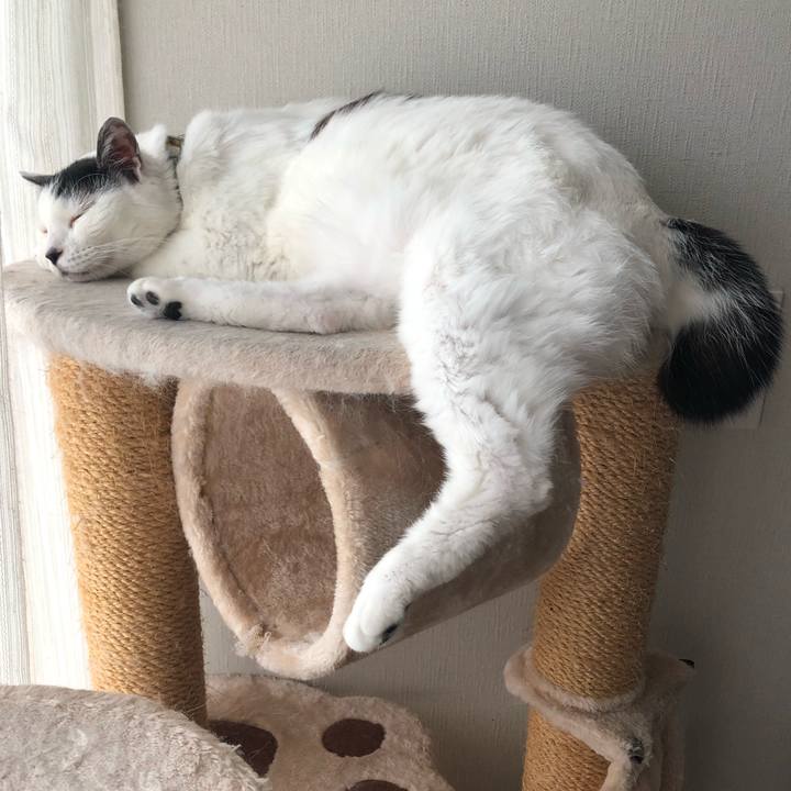 D83ae26b eb07 48f2 ac15 d17e8d650102 1562990996649