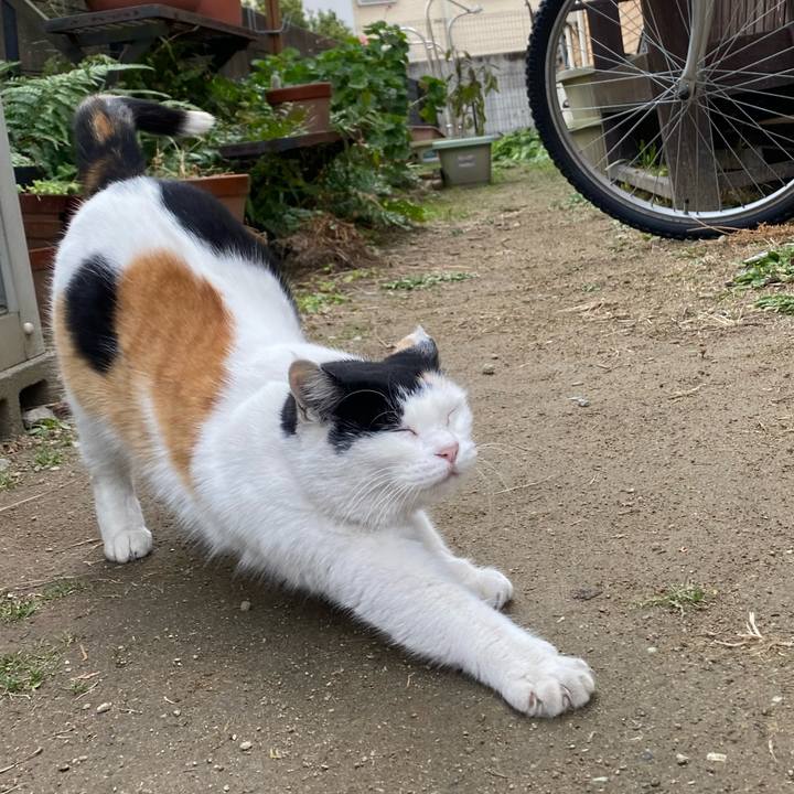 D83aed0d 0a95 476f b2c3 de435dfa9eb7 1643235958389