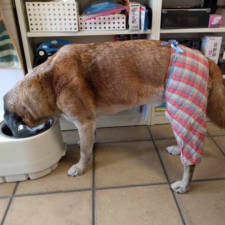 D83b2c4e 9618 4dcc 84c0 4927abc3968c 1515892491497