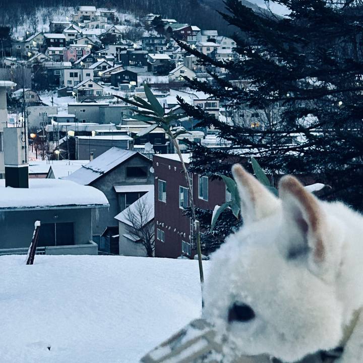 D83b3681 93e4 47f3 92bf 70371608fc49 1767133367112