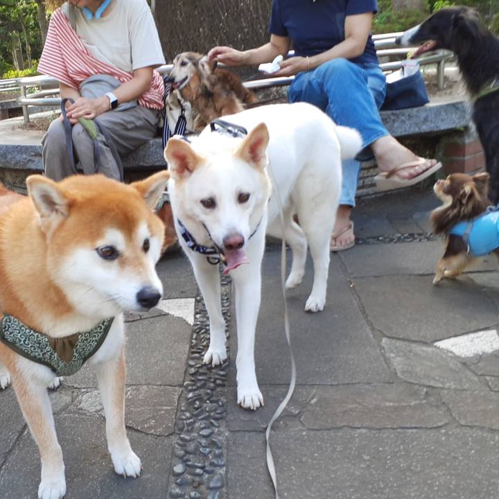 D83b4d89 ccc0 4c32 a152 ff20409697d4 1691799252302