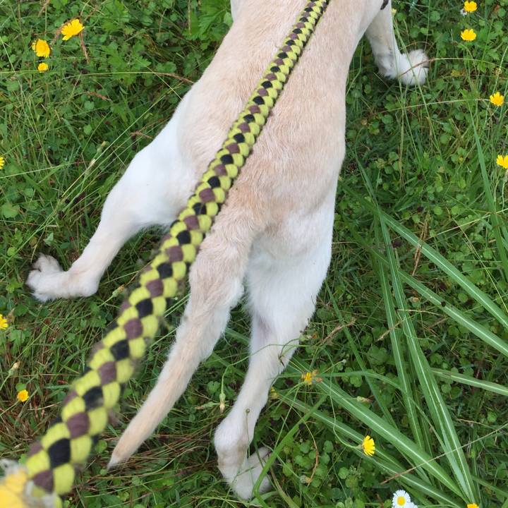 D83b62d5 7e09 4413 b3c2 2bbc11df5bbb 1528773525353