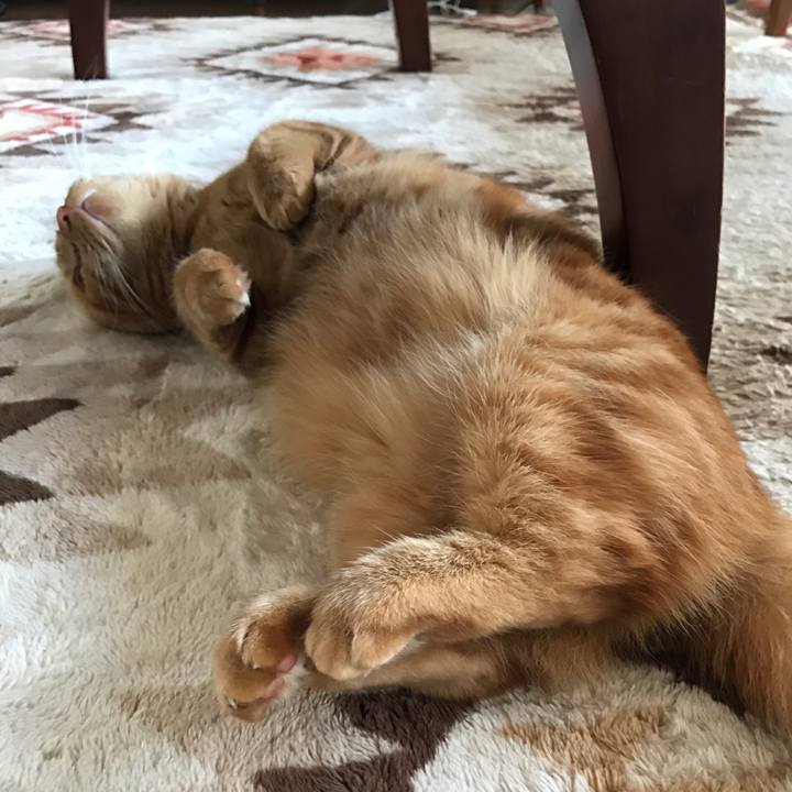 D83b6e33 d7ee 4a74 a25d 06ecd92b1e09 1522827801224