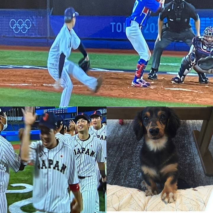 D83ba3b8 8396 4a81 96c6 95ae801702ad 1628083992902