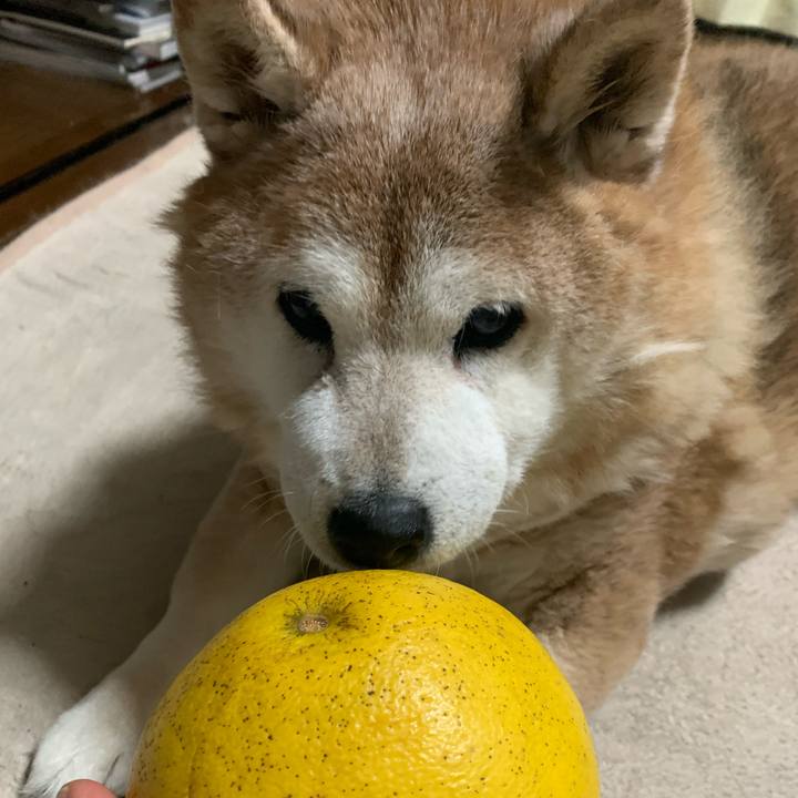 D83c0cd0 5b20 4c69 97f5 3b3cdc7ae7db 1614352644346