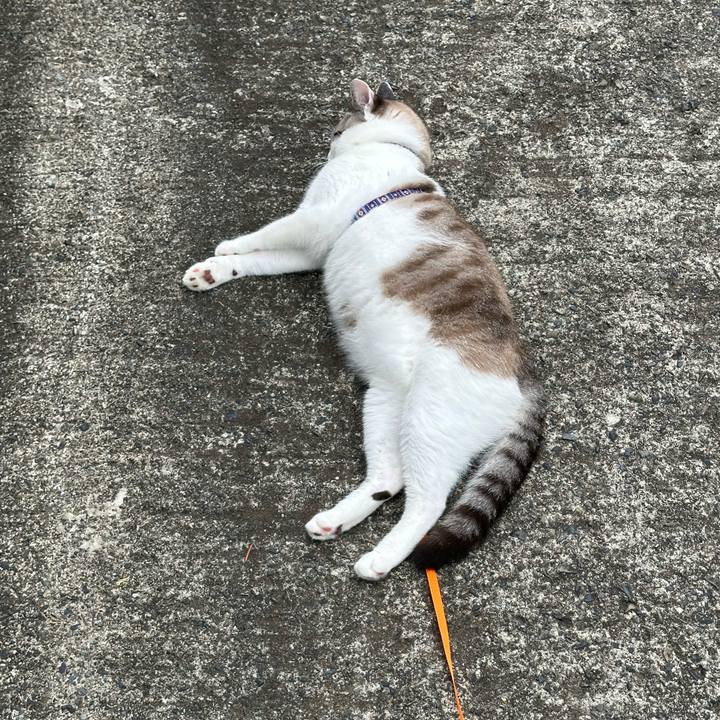 D83c3436 52f9 4113 b435 893bb840361c 1759580447635