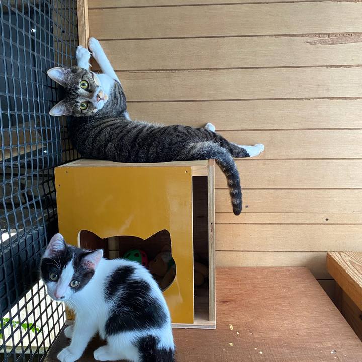 D83c9987 8328 47f8 bd93 21d11e94b5b4 1655596914627