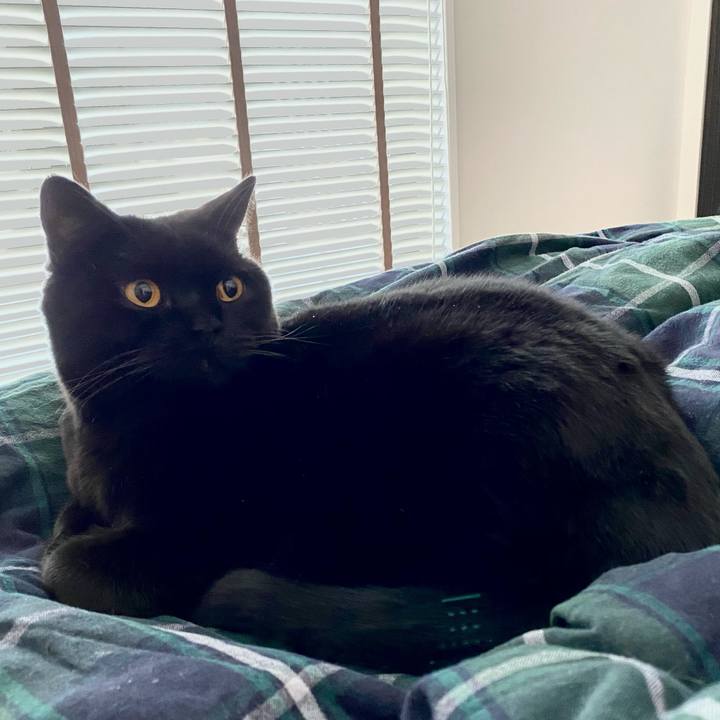 D83cb5ce e772 4274 a753 75d6a207f523 1606002820139