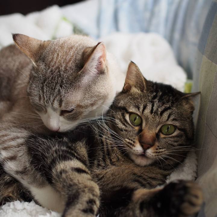 D83cb831 7c2b 4ca8 8a30 0a2518da046b 1553913829497