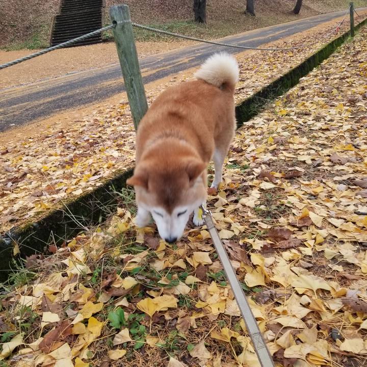 D83cbe11 499c 41b9 80b8 933e00bedf2f 1669014471957