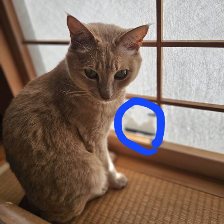 D83cda9b 62b6 47fd bbec fd82d7d57238 1735435435980